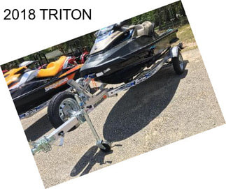 2018 TRITON