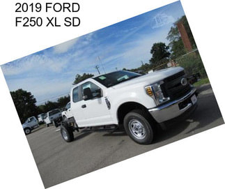 2019 FORD F250 XL SD