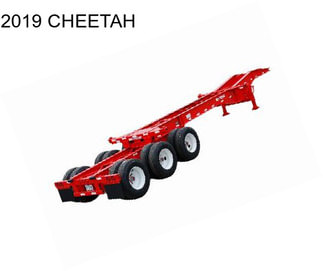 2019 CHEETAH