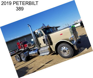 2019 PETERBILT 389