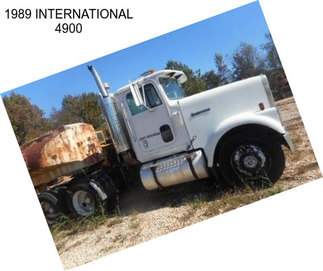 1989 INTERNATIONAL 4900