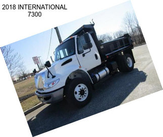 2018 INTERNATIONAL 7300