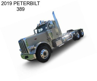 2019 PETERBILT 389