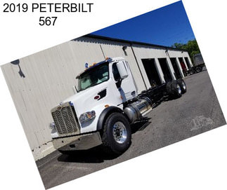 2019 PETERBILT 567