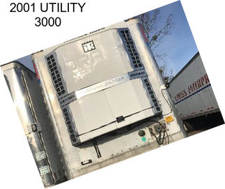 2001 UTILITY 3000