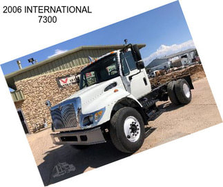 2006 INTERNATIONAL 7300