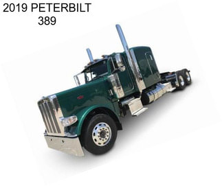 2019 PETERBILT 389