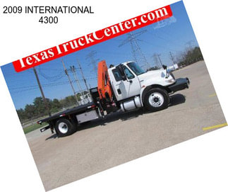 2009 INTERNATIONAL 4300