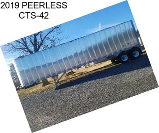 2019 PEERLESS CTS-42