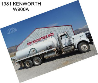 1981 KENWORTH W900A