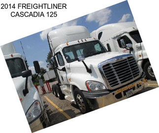 2014 FREIGHTLINER CASCADIA 125