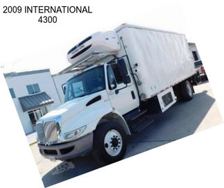 2009 INTERNATIONAL 4300