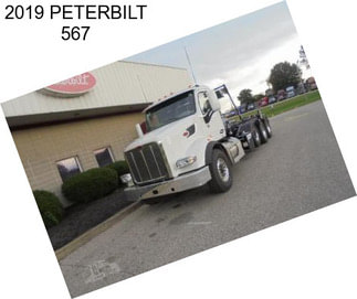 2019 PETERBILT 567