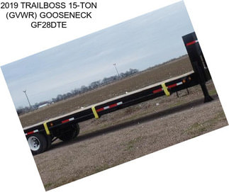 2019 TRAILBOSS 15-TON (GVWR) GOOSENECK GF28DTE