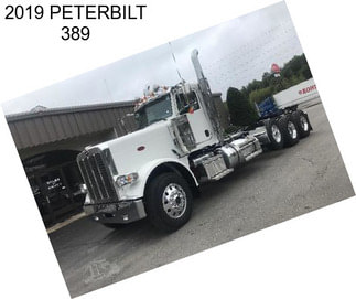 2019 PETERBILT 389