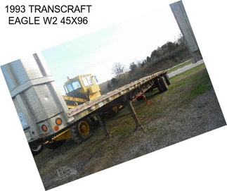 1993 TRANSCRAFT EAGLE W2 45X96