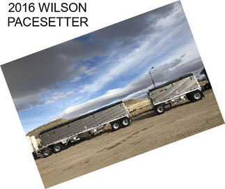 2016 WILSON PACESETTER