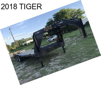 2018 TIGER