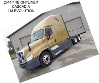 2014 FREIGHTLINER CASCADIA 113 EVOLUTION