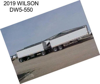 2019 WILSON DW5-550