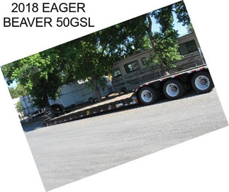 2018 EAGER BEAVER 50GSL