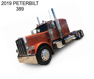 2019 PETERBILT 389