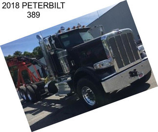 2018 PETERBILT 389