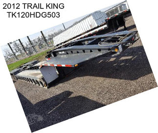 2012 TRAIL KING TK120HDG503