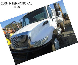 2009 INTERNATIONAL 4300