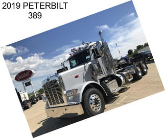 2019 PETERBILT 389