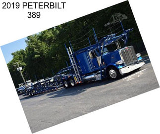 2019 PETERBILT 389