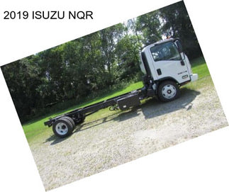 2019 ISUZU NQR