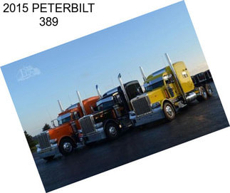 2015 PETERBILT 389