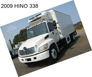 2009 HINO 338
