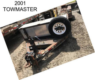 2001 TOWMASTER