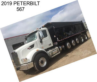 2019 PETERBILT 567