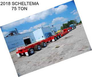 2018 SCHELTEMA 75 TON