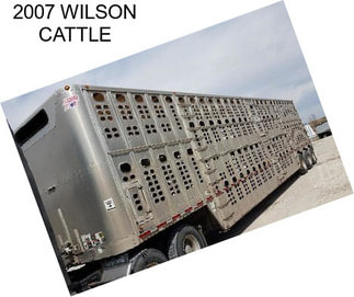 2007 WILSON CATTLE