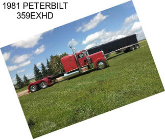 1981 PETERBILT 359EXHD