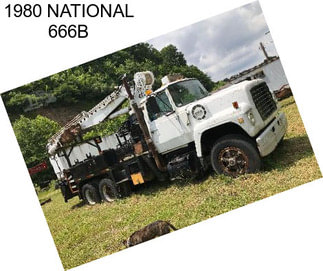 1980 NATIONAL 666B