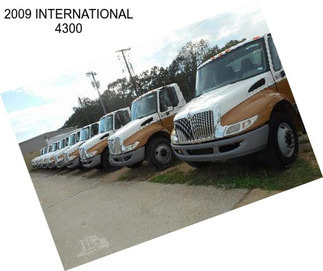 2009 INTERNATIONAL 4300