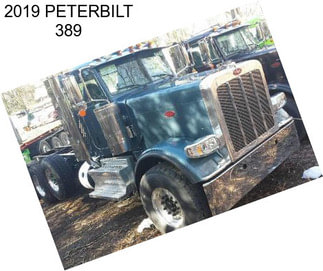 2019 PETERBILT 389