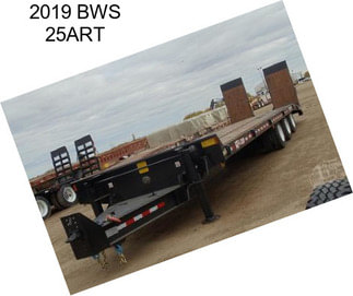 2019 BWS 25ART