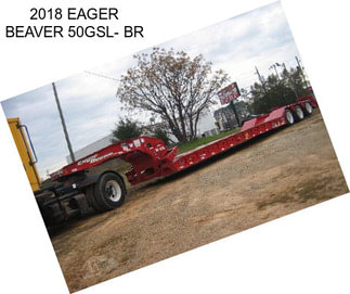 2018 EAGER BEAVER 50GSL- BR