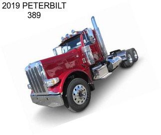 2019 PETERBILT 389