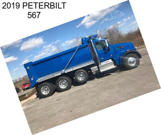 2019 PETERBILT 567