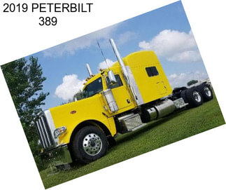 2019 PETERBILT 389