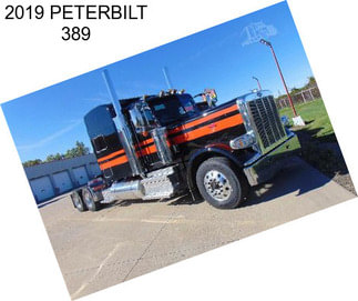 2019 PETERBILT 389