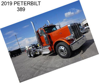 2019 PETERBILT 389