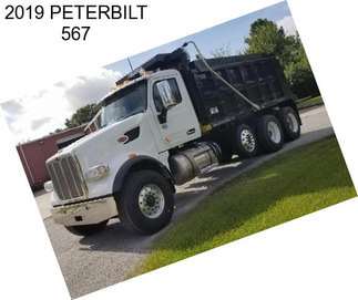 2019 PETERBILT 567